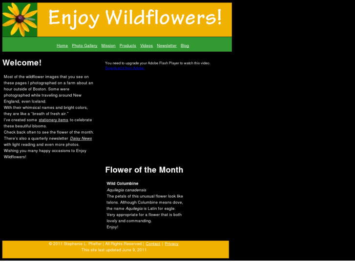 www.enjoywildflowers.com