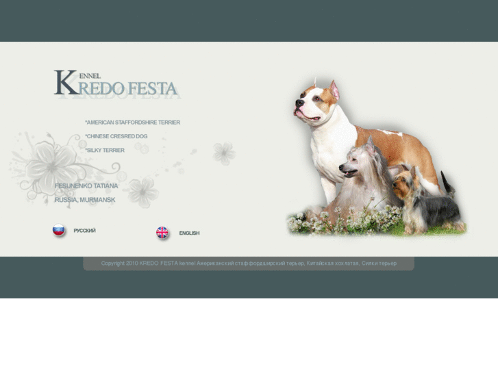 www.kredofesta.com