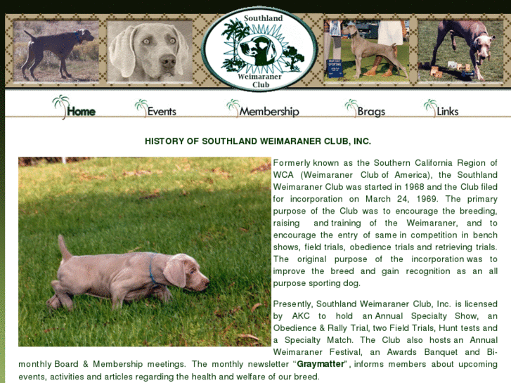 www.southlandweimaranerclub.com