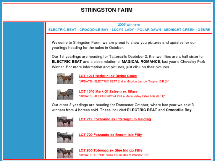 www.stringstonfarm.com