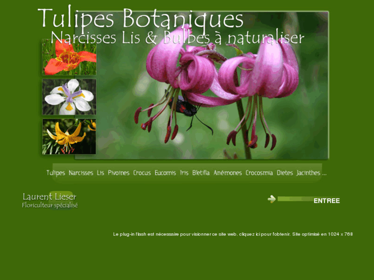 www.tulipes-sauvages.com