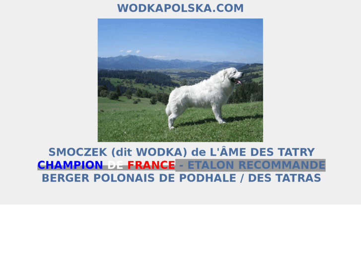 www.wodkapolska.com