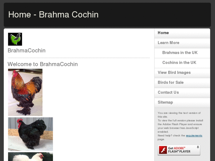www.brahmacochin.com