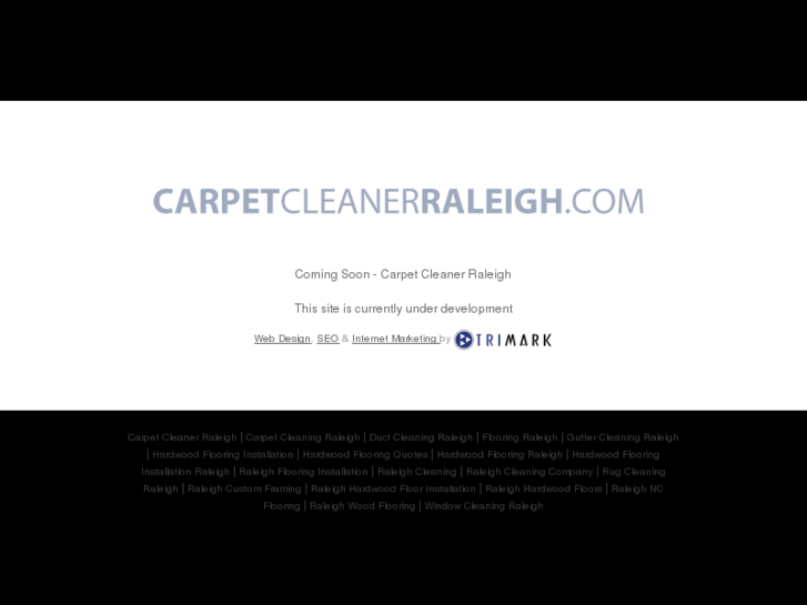 www.carpetcleanerraleigh.com