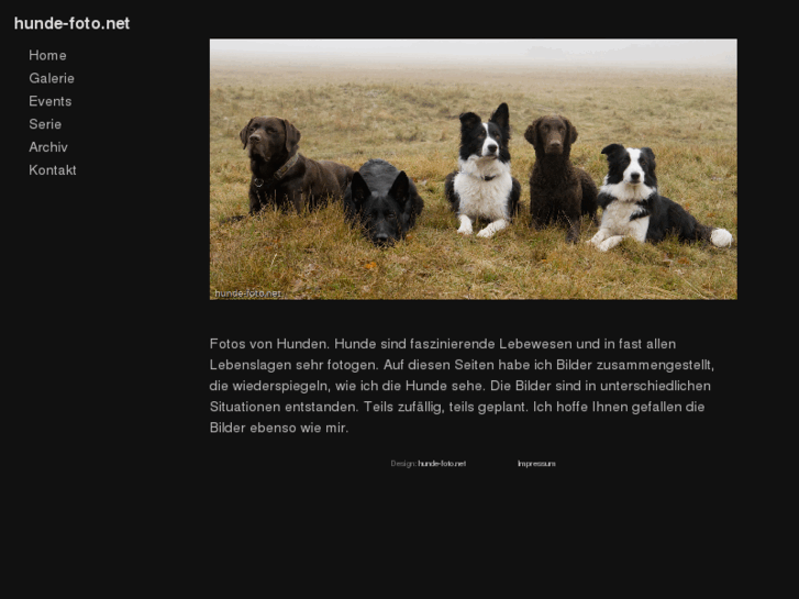 www.hunde-foto.net