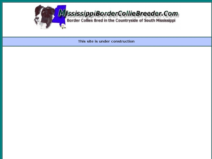 www.mississippibordercolliebreeder.com