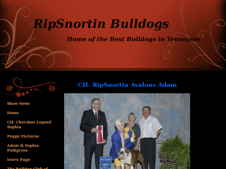 www.ripsnortinbulldogs.com