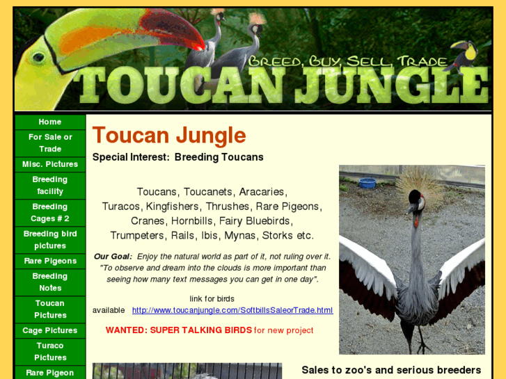 www.toucanjungle.com