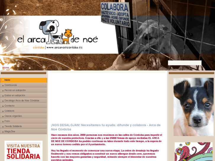 www.arcanoecordoba.es