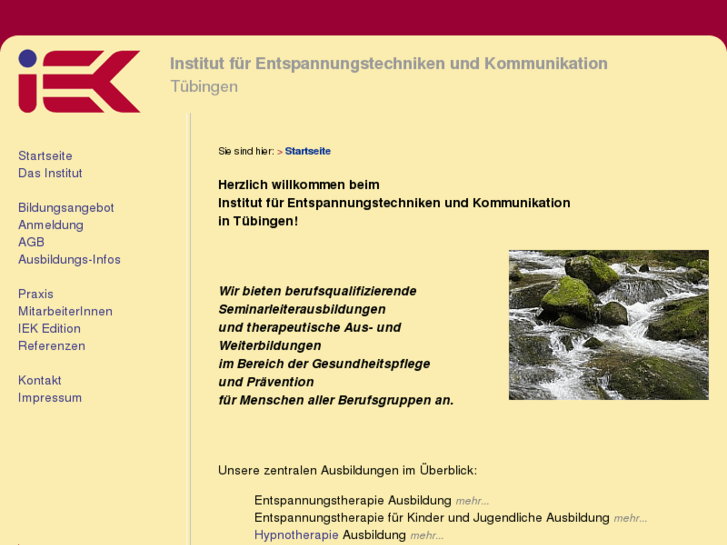 www.iek-stuttgart.de