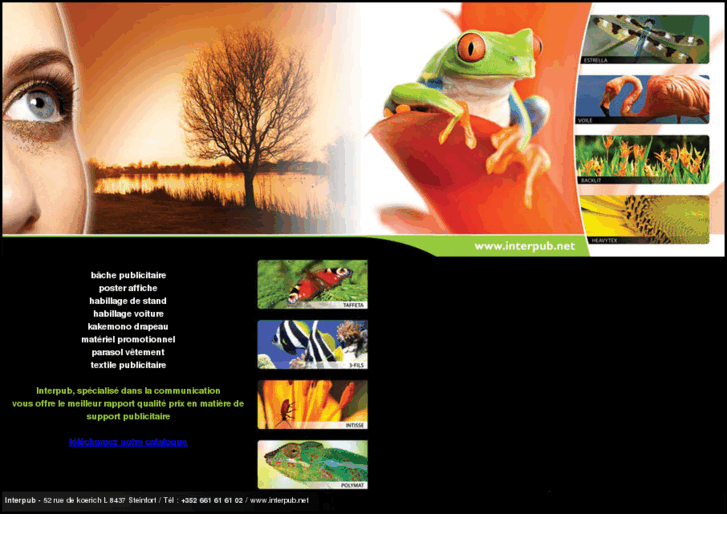 www.interpub.net