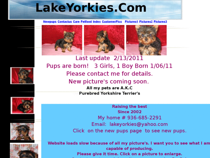 www.lakeyorkies.com