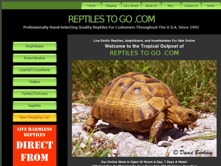 www.reptilestogo.com