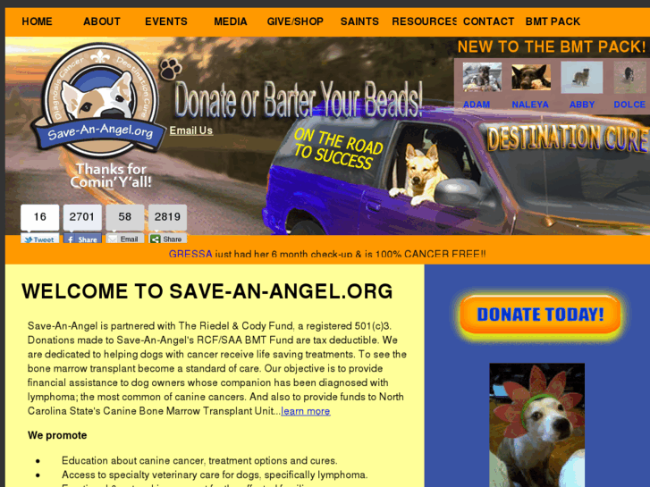 www.save-an-angel.org