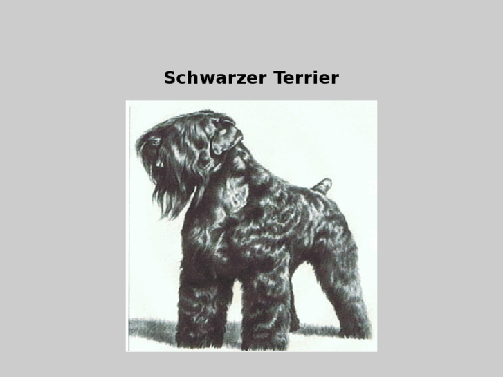 www.schwarzerterrier.com