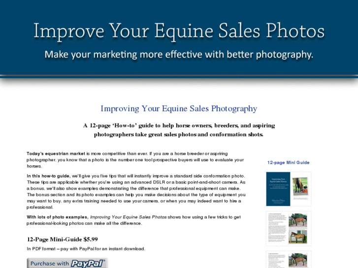 www.takebetterhorsephotos.net