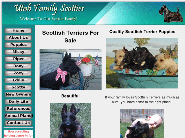 www.utahfamilyscotties.com