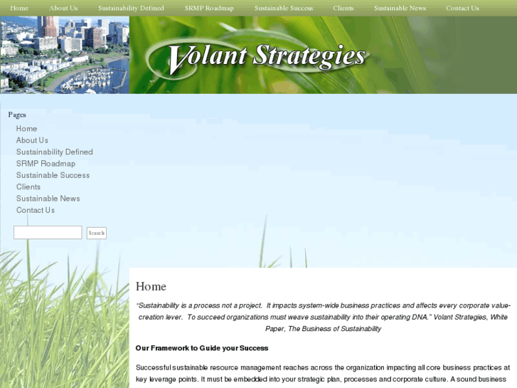 www.volantstrategies.com