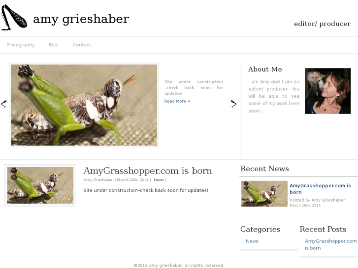 www.amygrasshopper.com