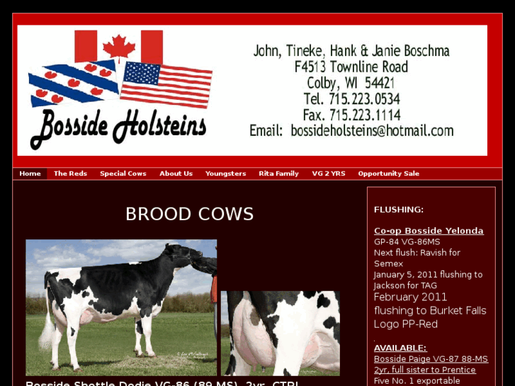 www.bossideholsteins.com