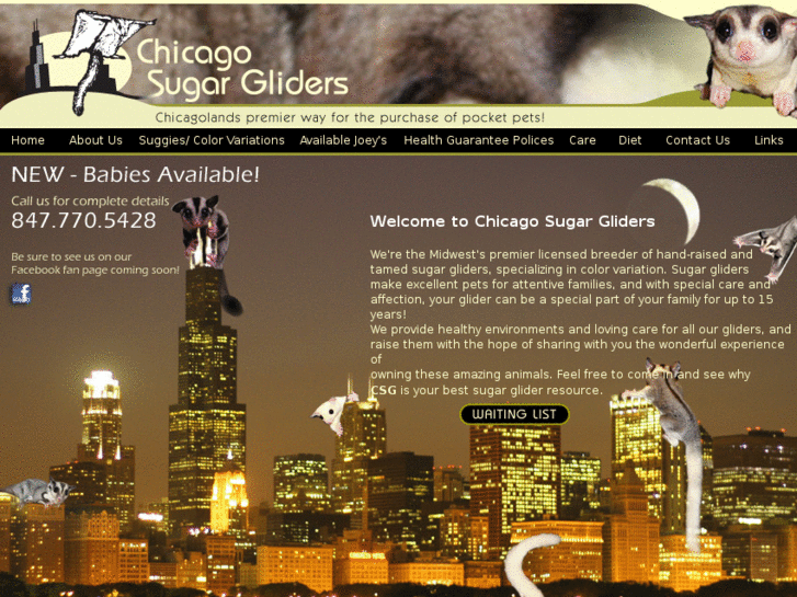 www.chicagosugargliders.com