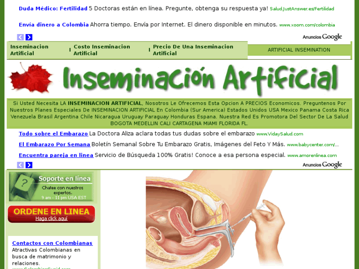 www.inseminacion-artificial.com