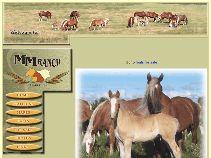 www.mmranch.ca