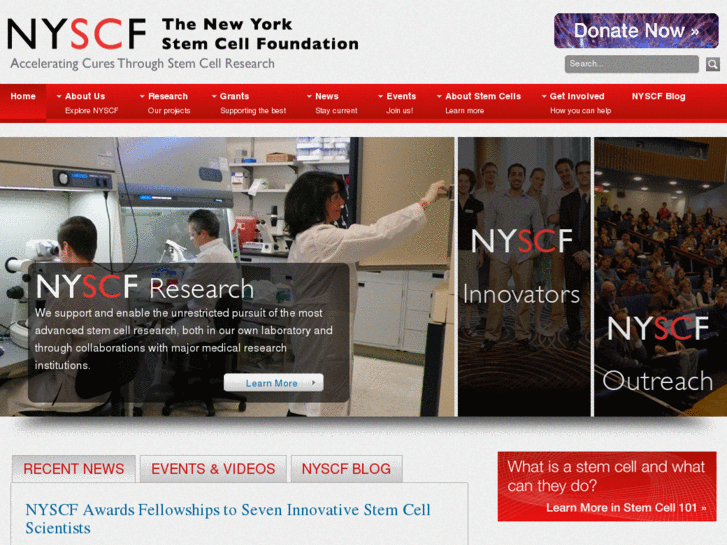 www.nyscf.org