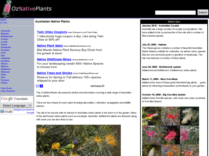 www.oznativeplants.com