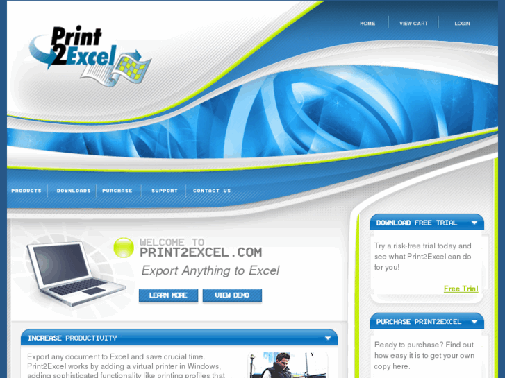 www.print2excel.com