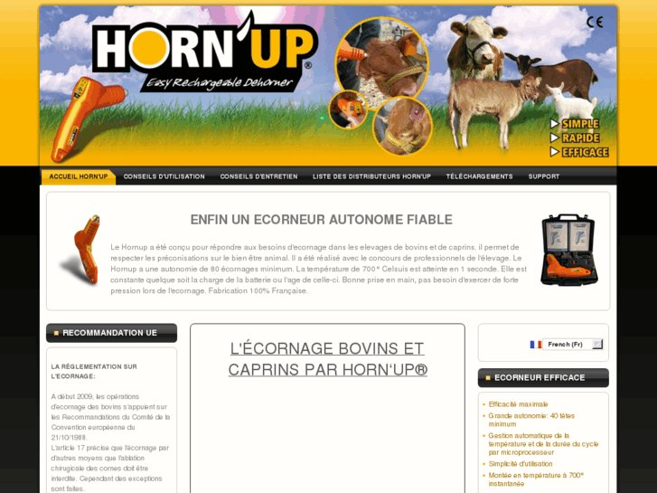 www.hornup.eu