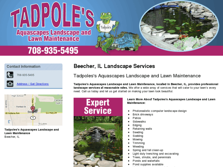 www.tadpolesaquascapes.com