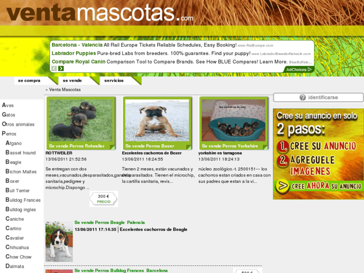 www.ventamascotas.com