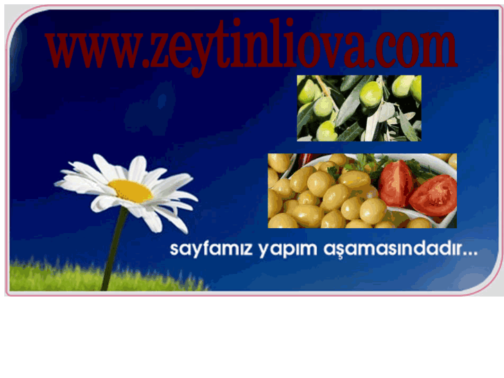 www.zeytinliova.com