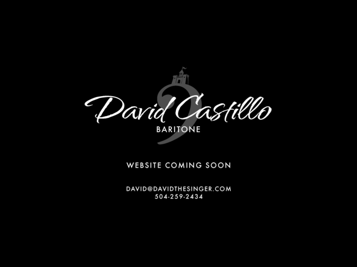 www.davidthesinger.com