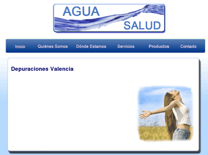 www.depuracionesvalencia.com