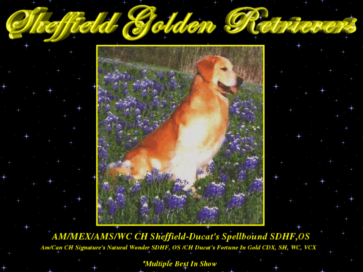 www.sheffieldgoldens.com