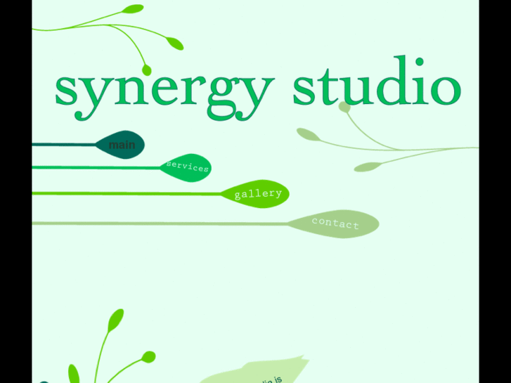 www.synergy-studio.net