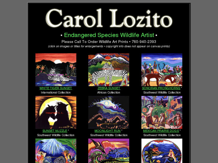 www.carollozito.com