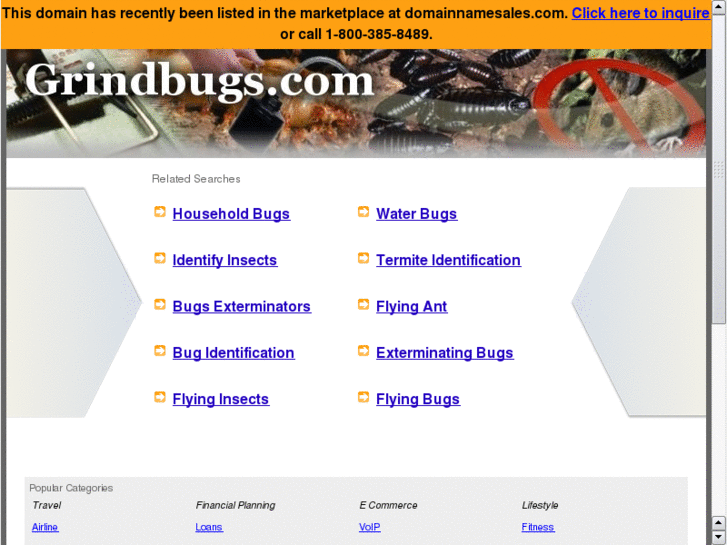 www.grindbugs.com