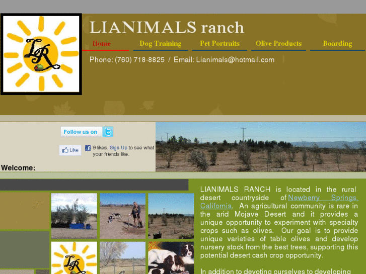 www.lianimals.com