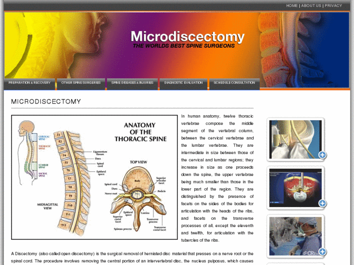 www.microdiscectomy.info