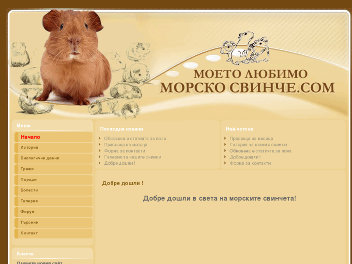 www.morsko-svinche.com