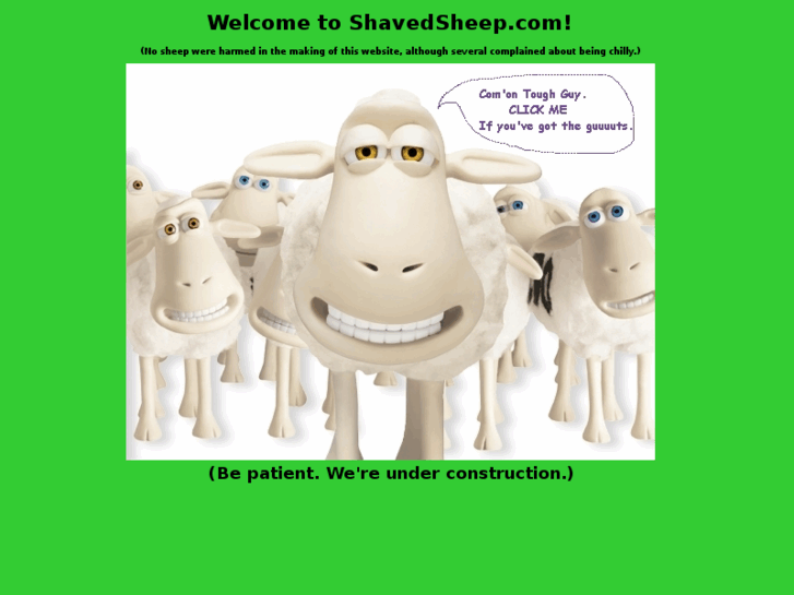 www.shavedsheep.com