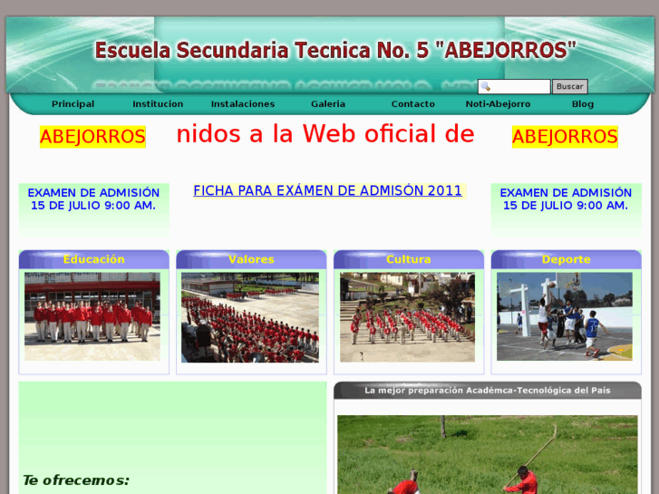 www.abejorrostecnica5.com