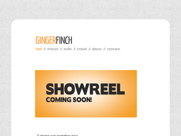 www.gingerfinch.com