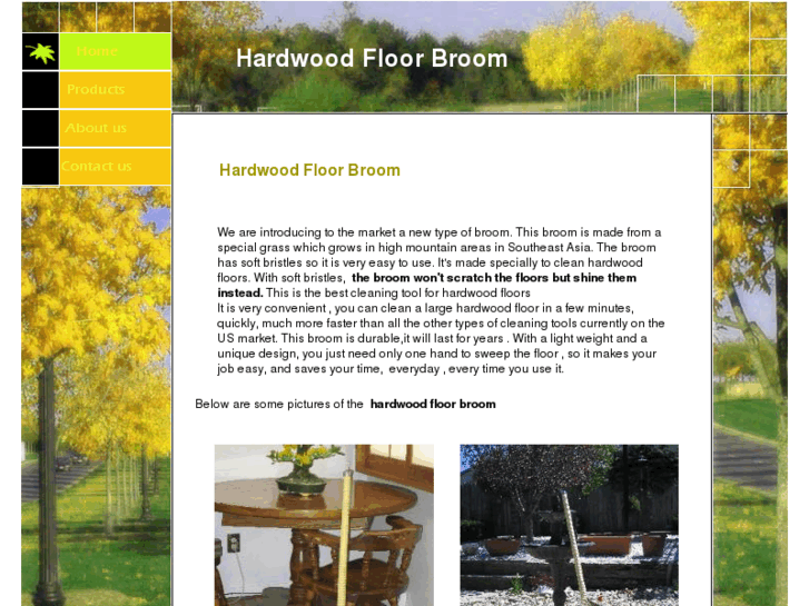 www.hardwoodfloorbrooms.com