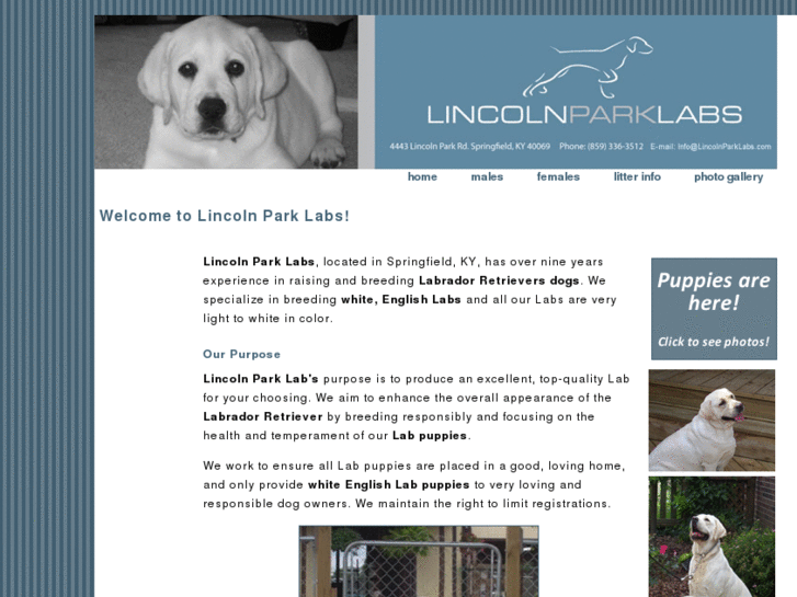 www.lincolnparklabs.com