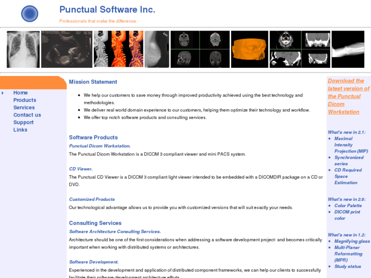 www.punctualsoftware.com