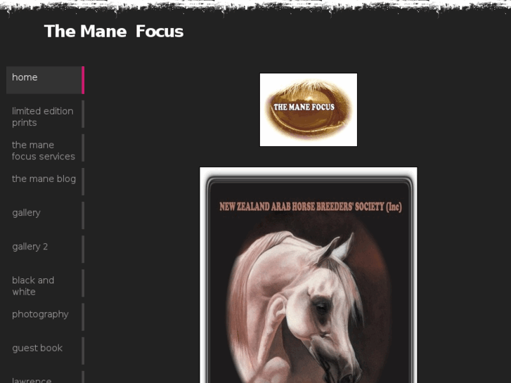 www.themanefocus.com